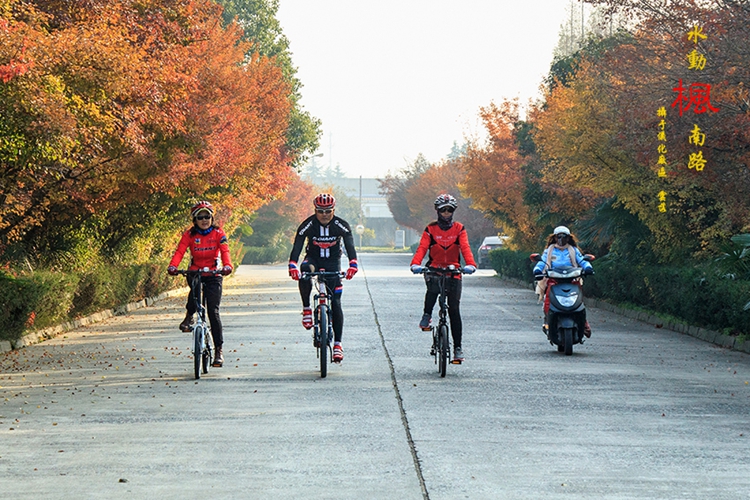 20161214112053.jpg