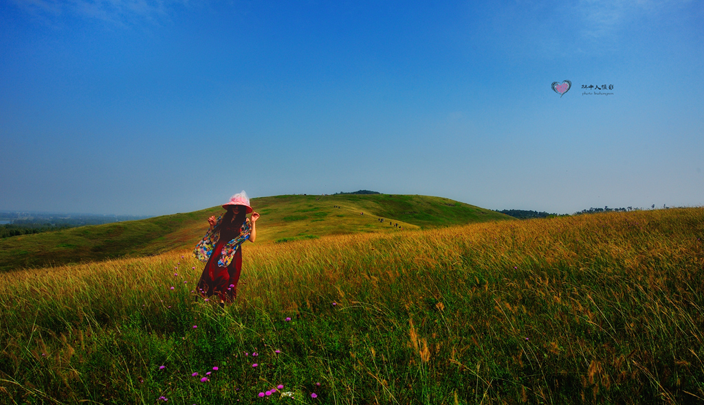 DSC_8397_副本_副本.jpg