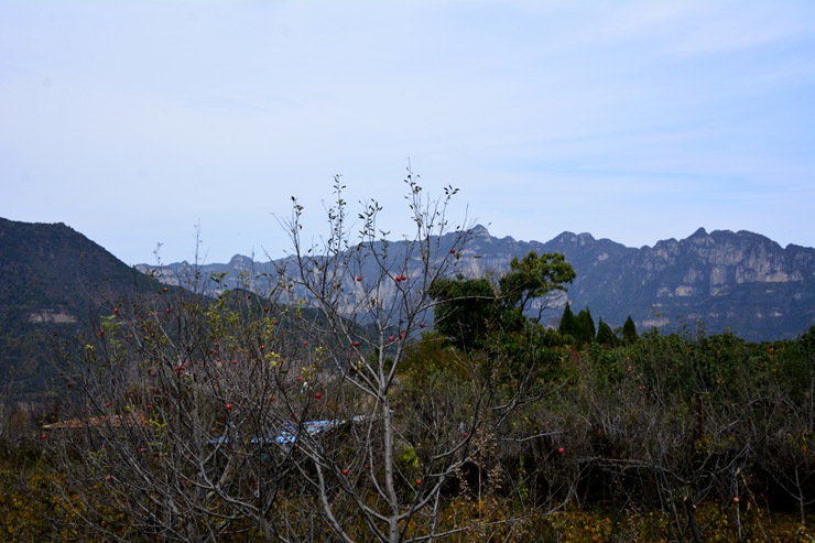_DSC1486.JPG