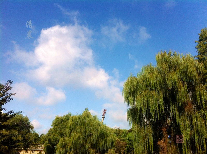 也隔三差五穿过小区，过一条马路就到了体育场；