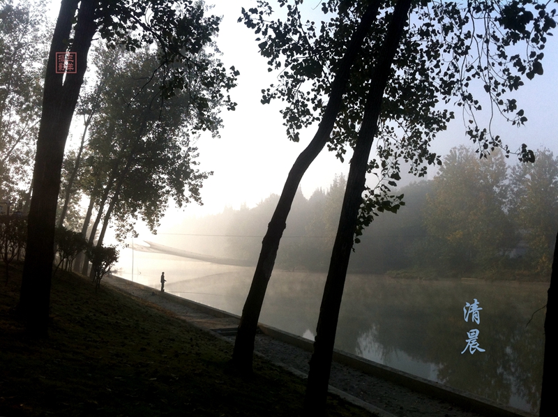 在胥浦河边，停停、看看，感觉真好。