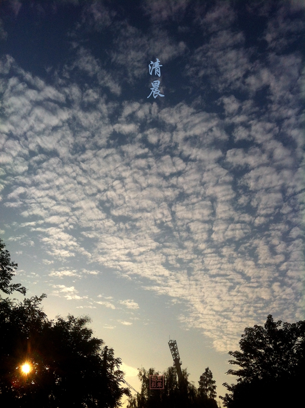 仰望苍穹，湛蓝的天空中，暧色的朝阳渲染着白云，天际边一抺金黄让人心醉；