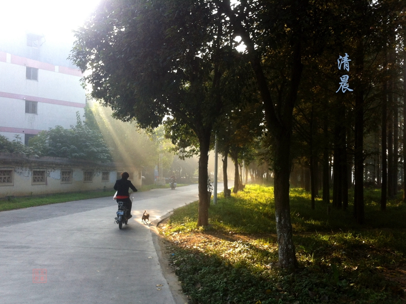 莫道君行早，还有更早人，