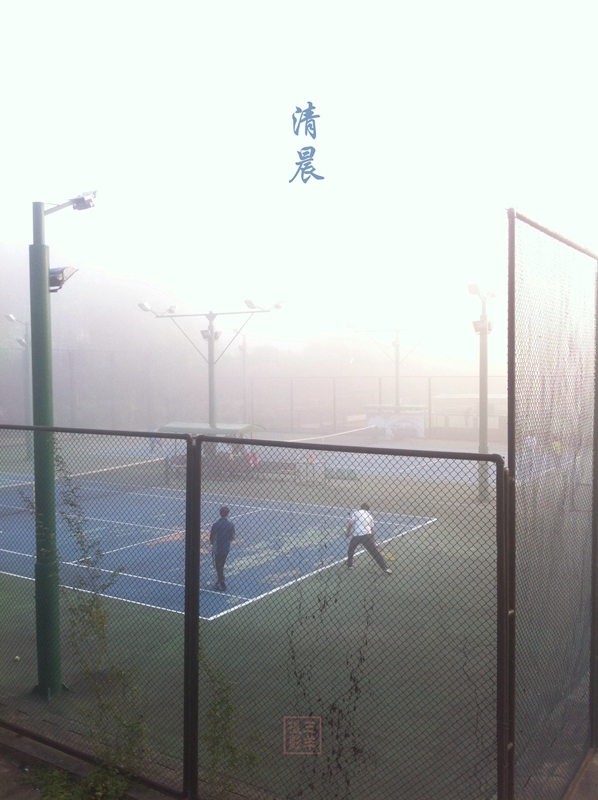打网球、跳探戈、耍太极，