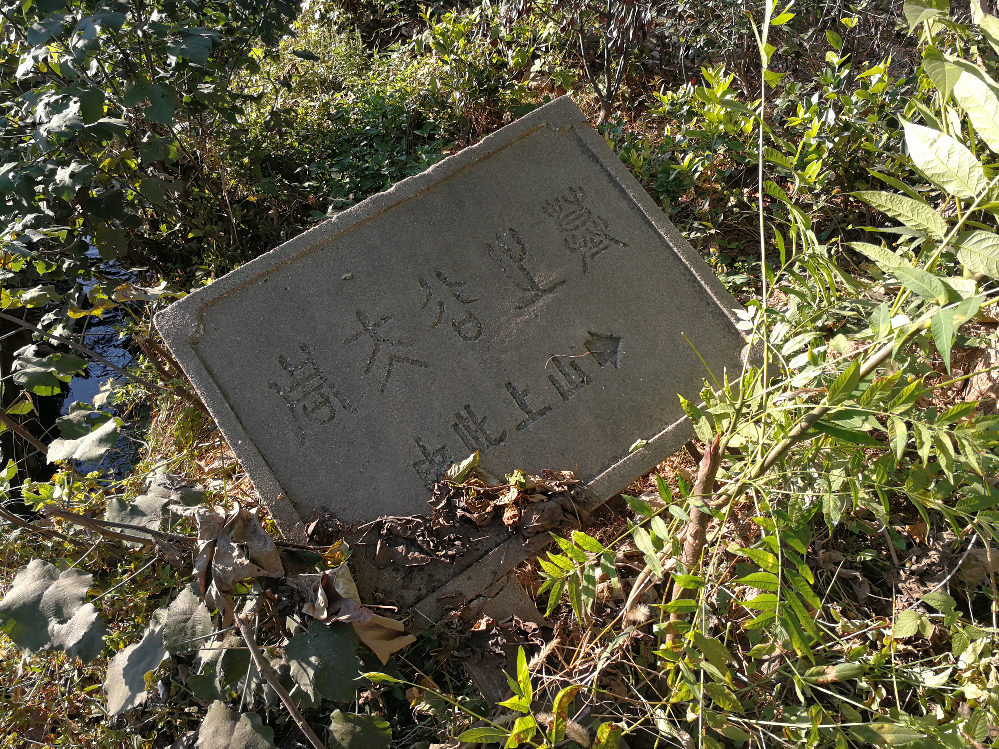 上山指示牌.jpg