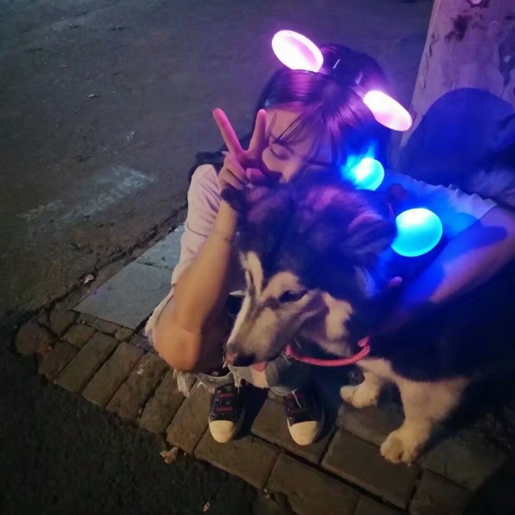 1509547556216.jpeg
