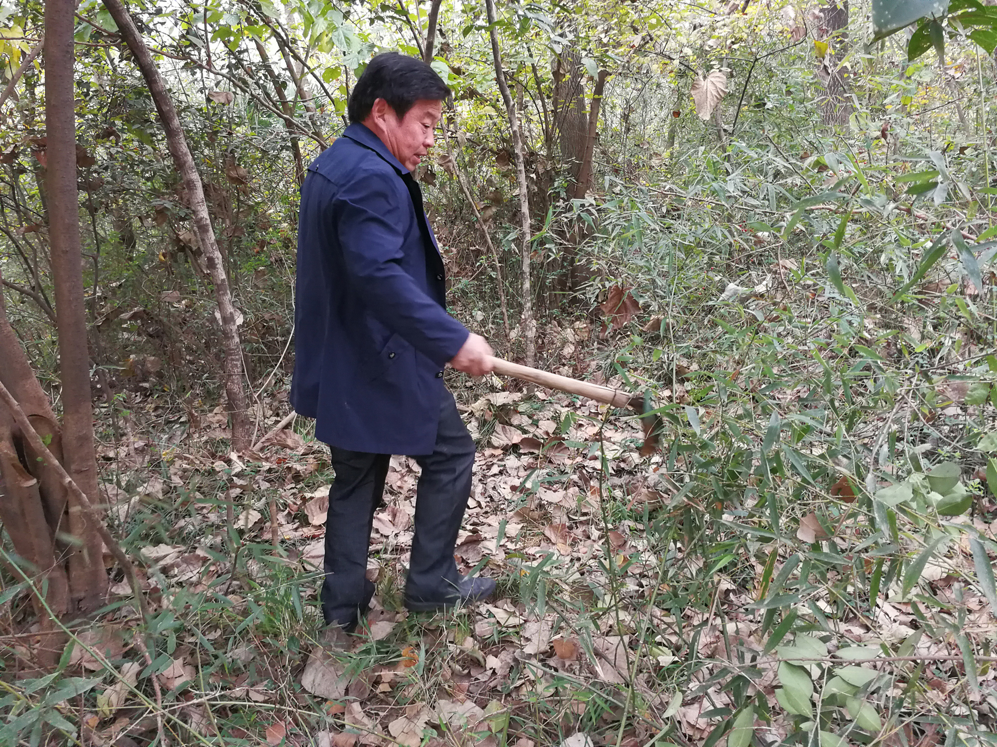 丁万胜披荆斩棘.jpg