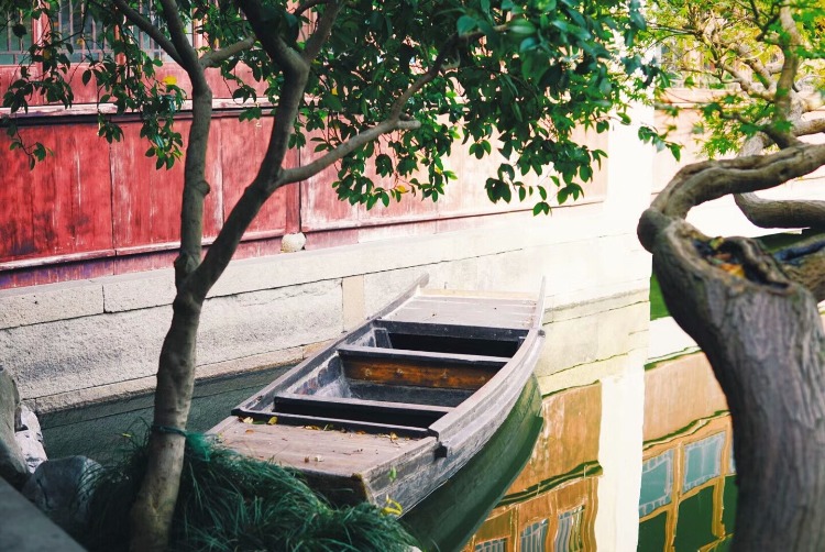 mmexport1511159213537.jpg
