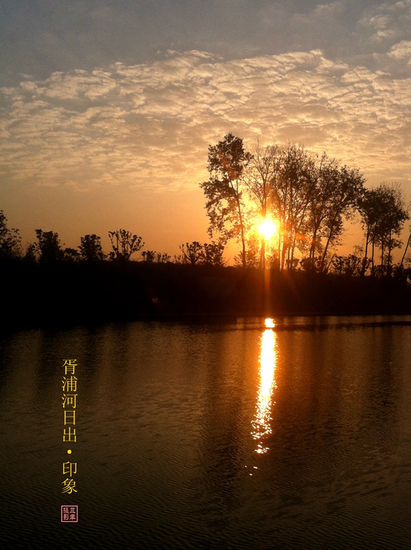 满脑子想着怎么拍“太阳照在胥浦河上”。