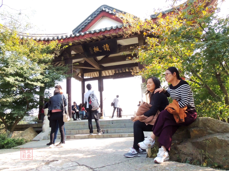想着“又是一年枫叶红，年年彩霞映栖霞”，借着友人来访，故地重游。