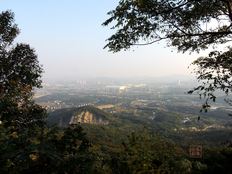 大隐于市朝，