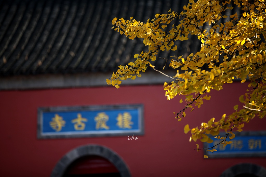 IMG_5396_副本.jpg