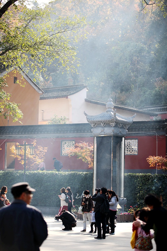 IMG_5391_副本.jpg