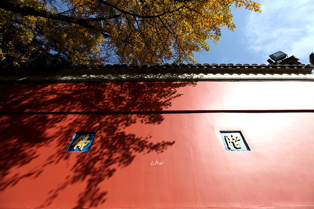 IMG_5404_副本.jpg