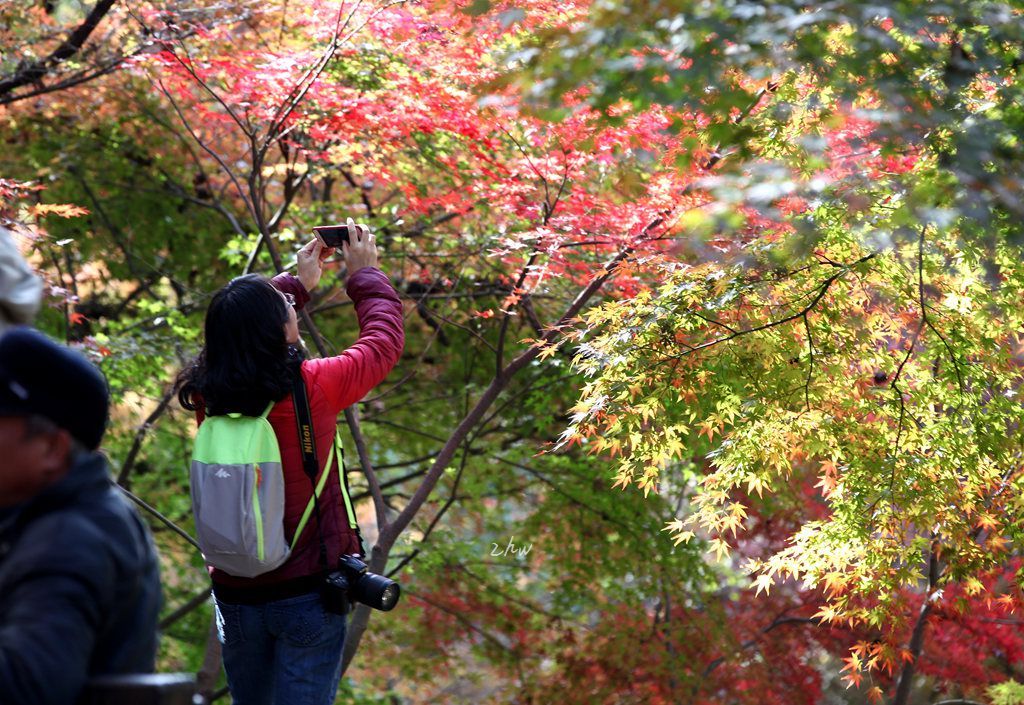 IMG_5414_副本.jpg