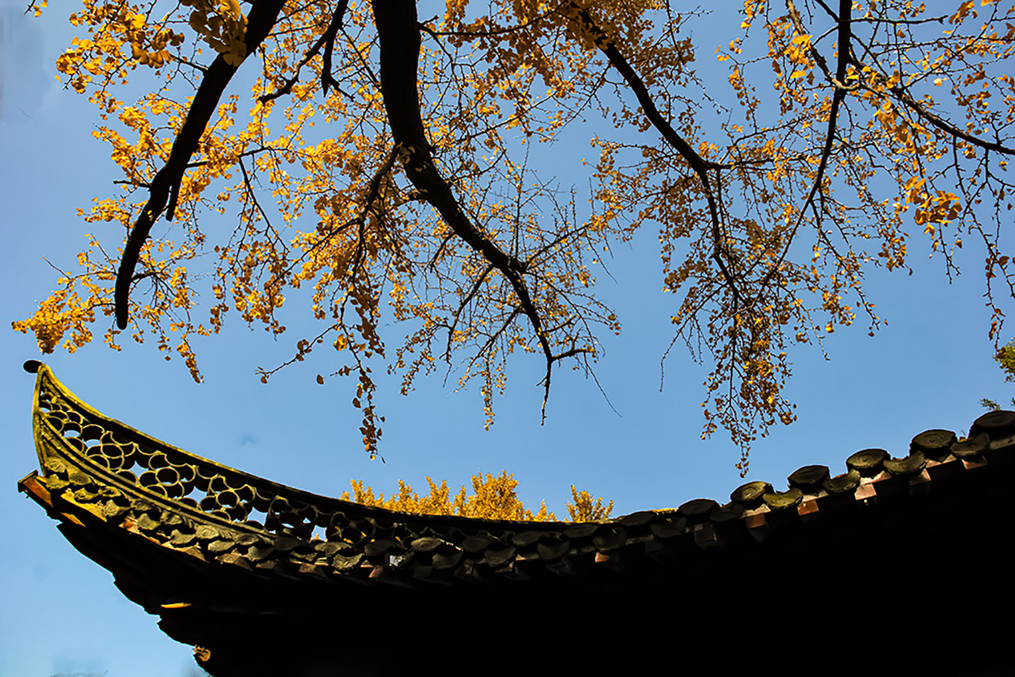 IMG_9942--仓.jpg