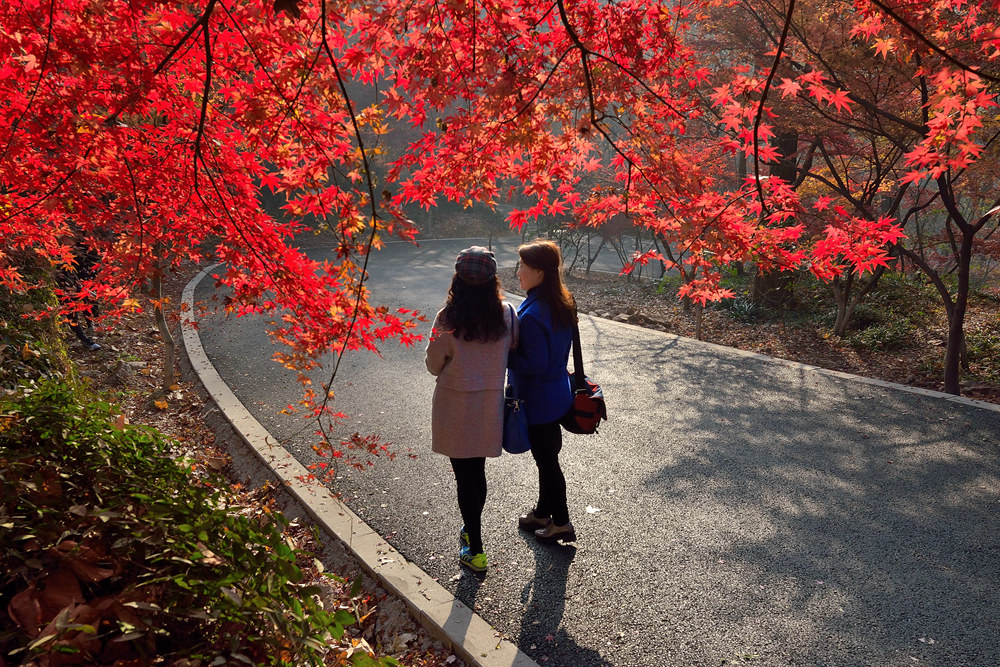 DSC_0404_副本_副本.jpg