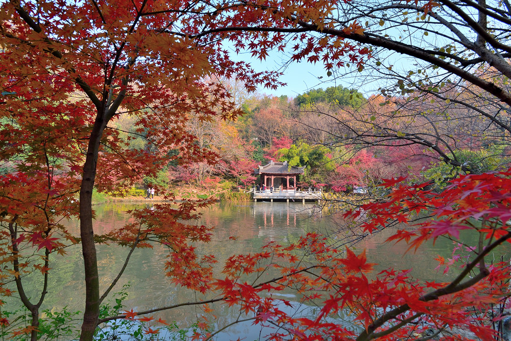 DSC_0417_副本_副本.jpg