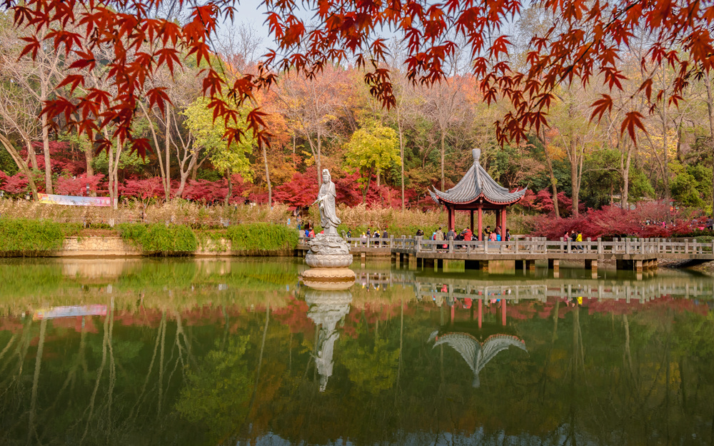 DSC_0469_副本_副本.jpg