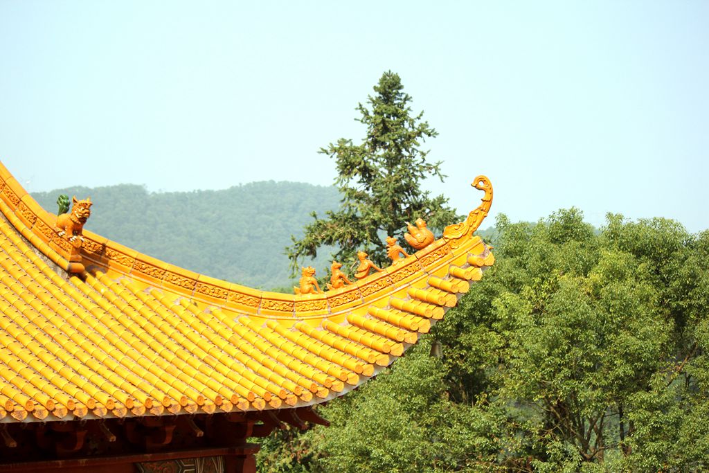 IMG_8953副本_副本.jpg