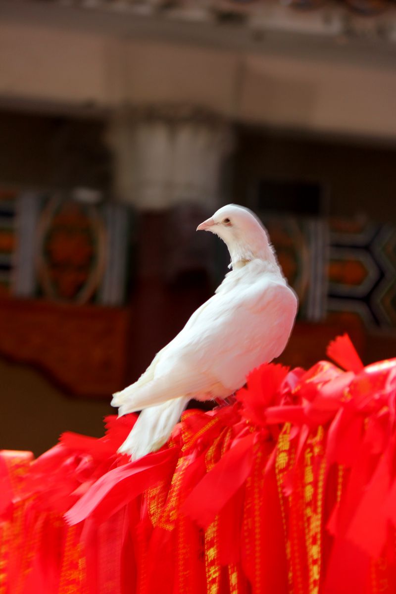 IMG_8969副本_副本.jpg