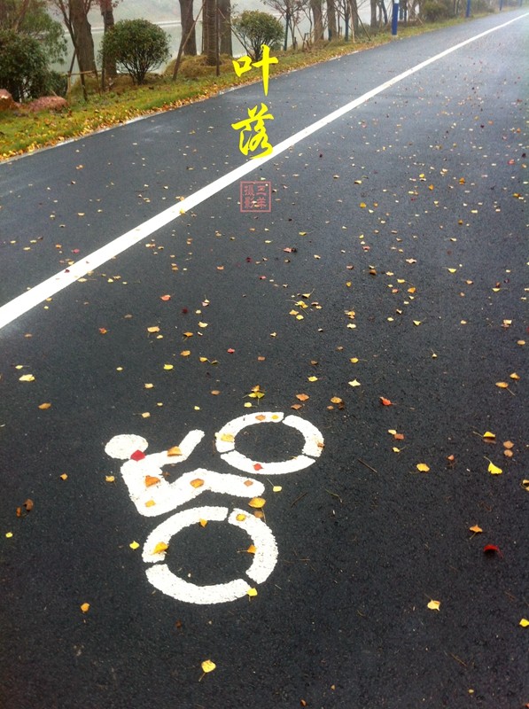沙~~~沙沙，如撒欢的狗儿，奔跑着、跳跃着；