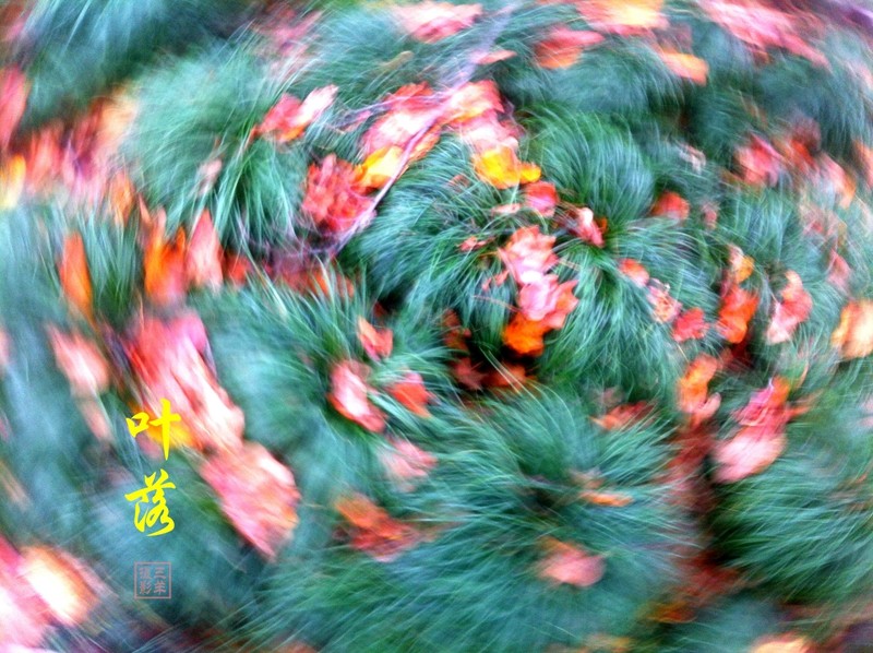 忽儿，拥抱、旋转，快乐飞扬。