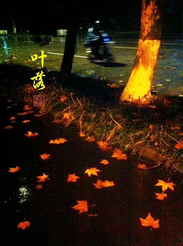 夜深风竹敲秋韵，