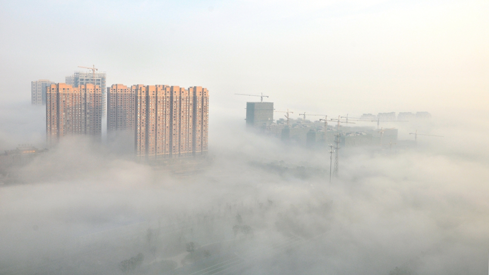 东区1.jpg