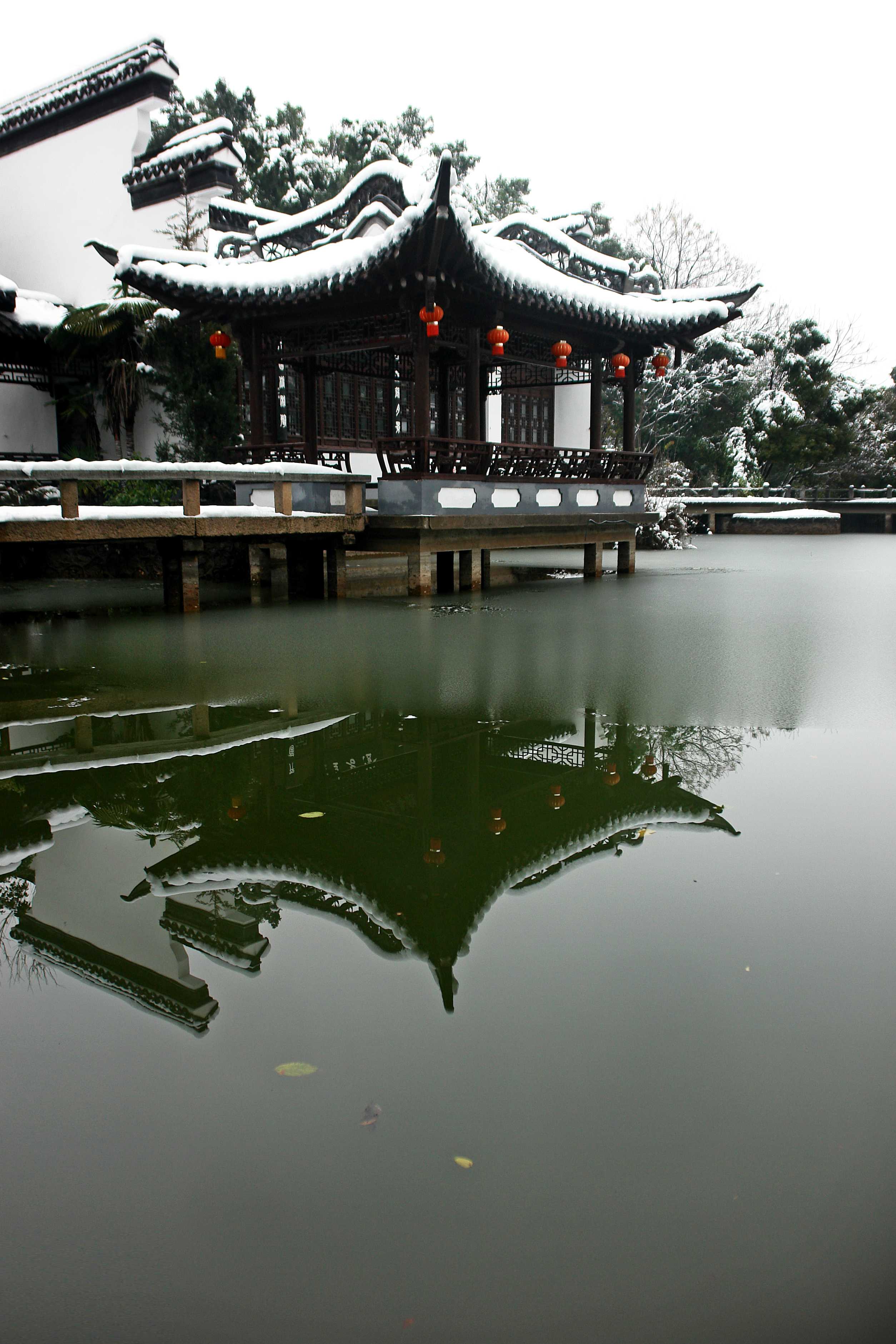 DSC02008.JPG