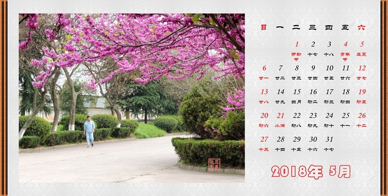 2018年05月（紫藤花）