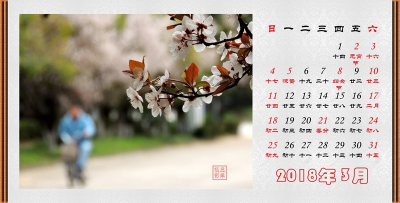 2018年03月（紫叶李）