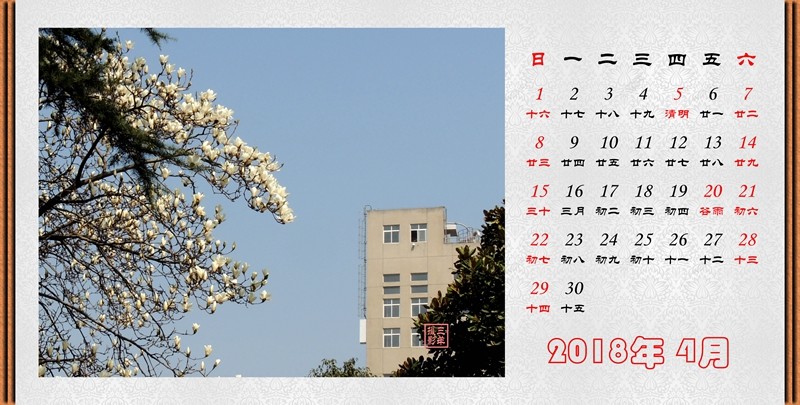 2018年04月（白玉兰）