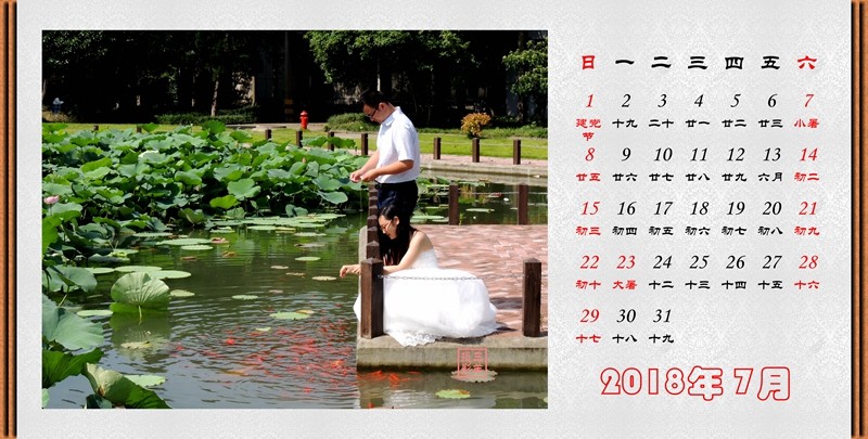 2018年07月（水务中心荷花）