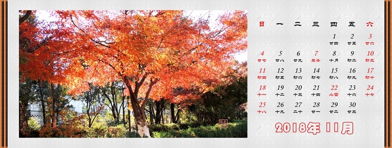 2018年11月（红叶大道）