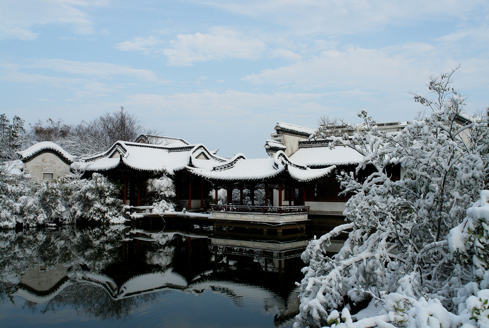 DSC09821.JPG