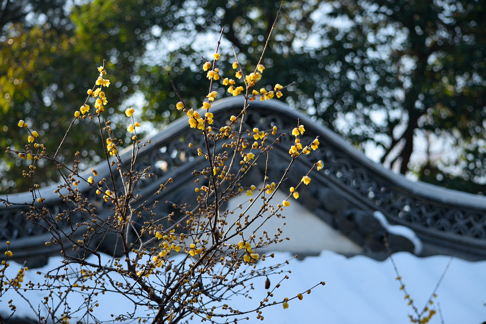 DSC_0280_副本_副本.jpg