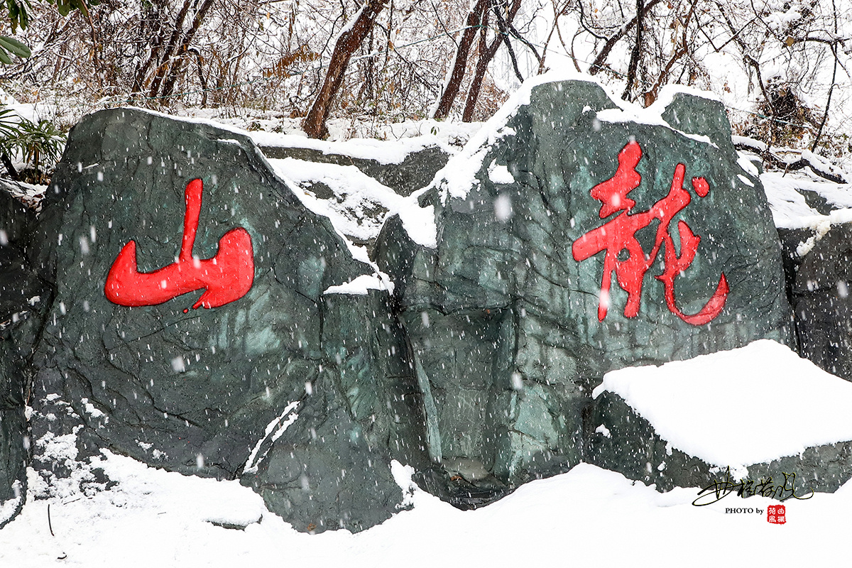 IMG_7480_副本.jpg