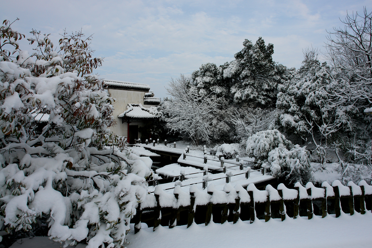 DSC09818.JPG