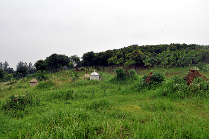 庙山近景.jpg
