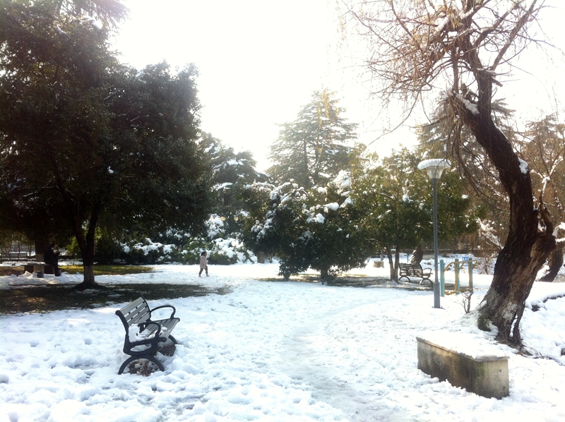 朋友圈里闹腾得不行， 雪霁江南白沙秀、通勤路上战积雪，