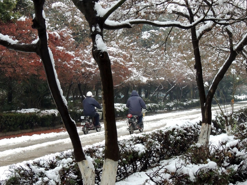 安谧的着地，