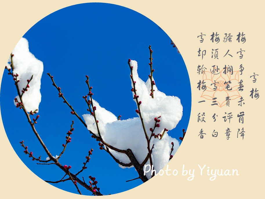 MG_2403-1_mix01.jpg