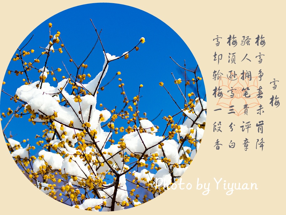 _MG_2401-1_mix01.jpg
