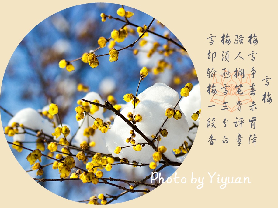 _MG_2404-1_mix01.jpg
