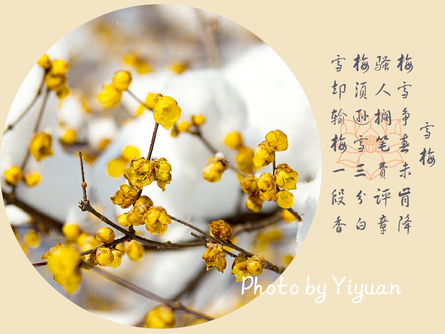MG_2391-1_mix01.jpg