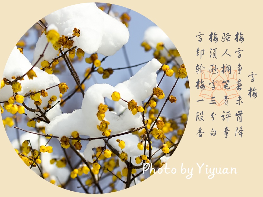 MG_2393-1_mix01.jpg