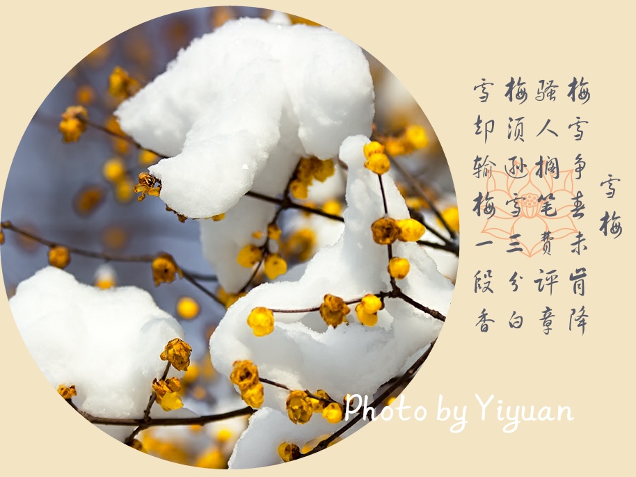_MG_2392-1_mix01.jpg