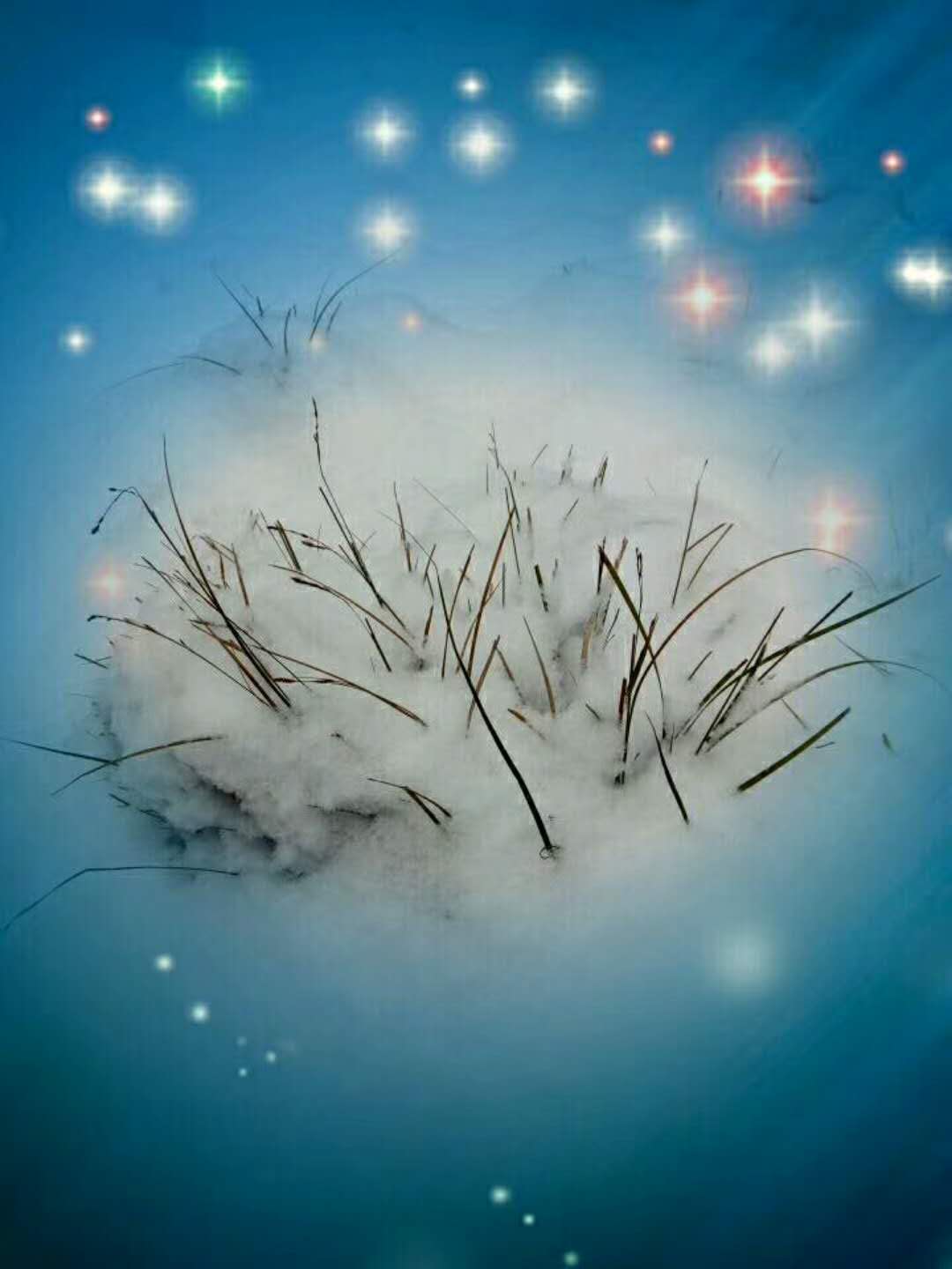 微信图片_20180202171623.jpg