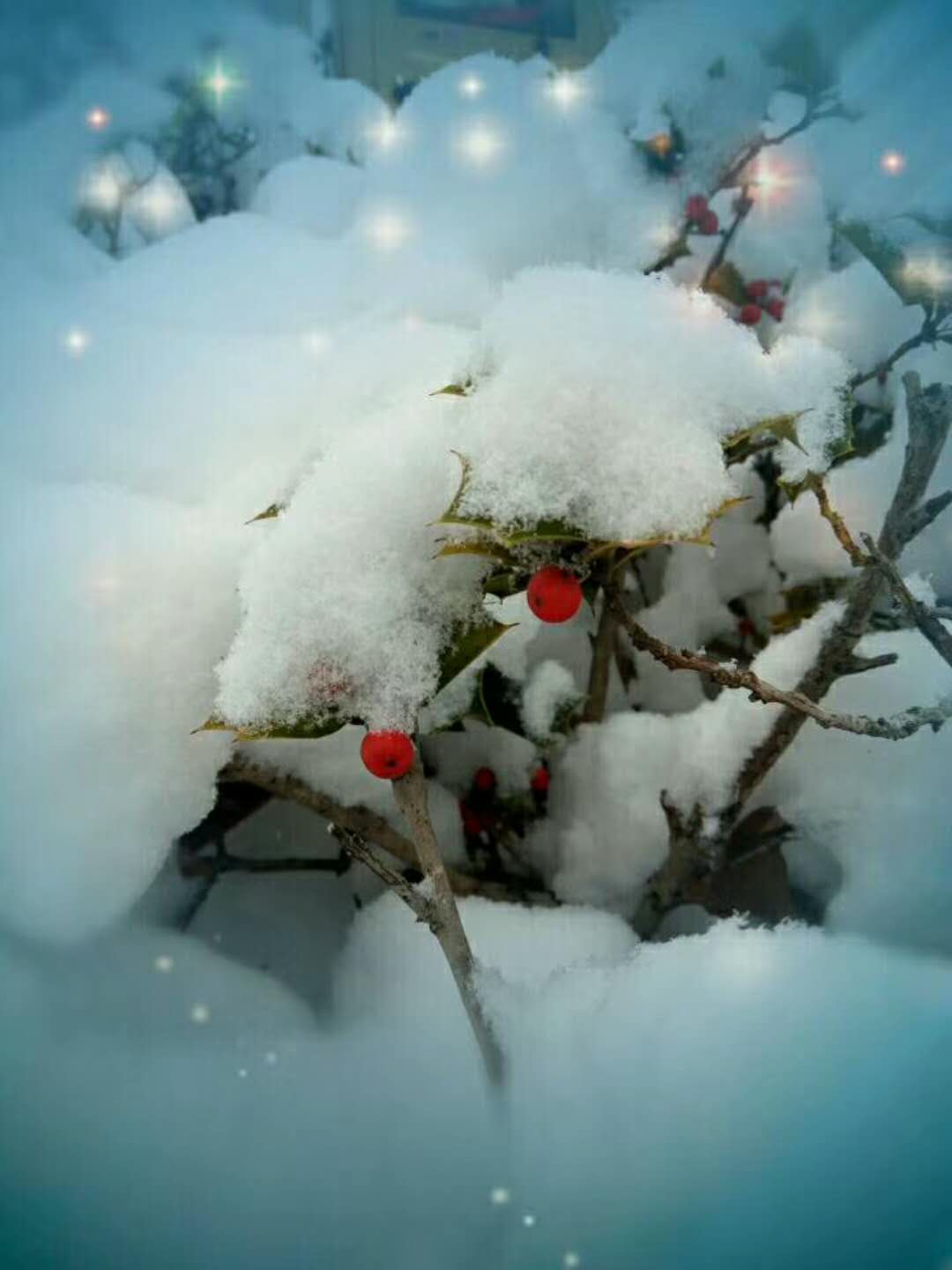 微信图片_20180202171506.jpg